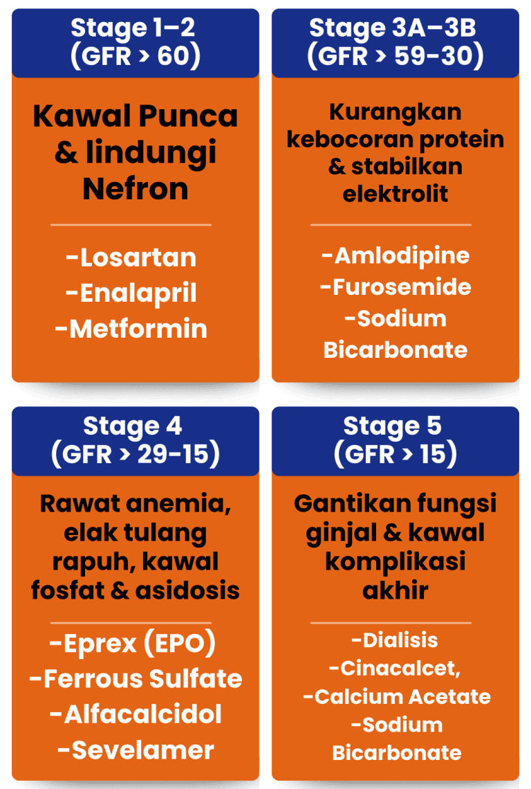 stage buah pinggang